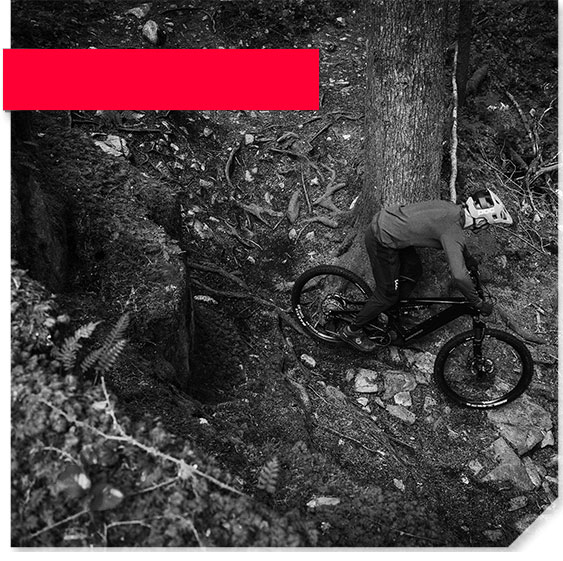 Calgary Cycle Canada's Premier Bike Shop