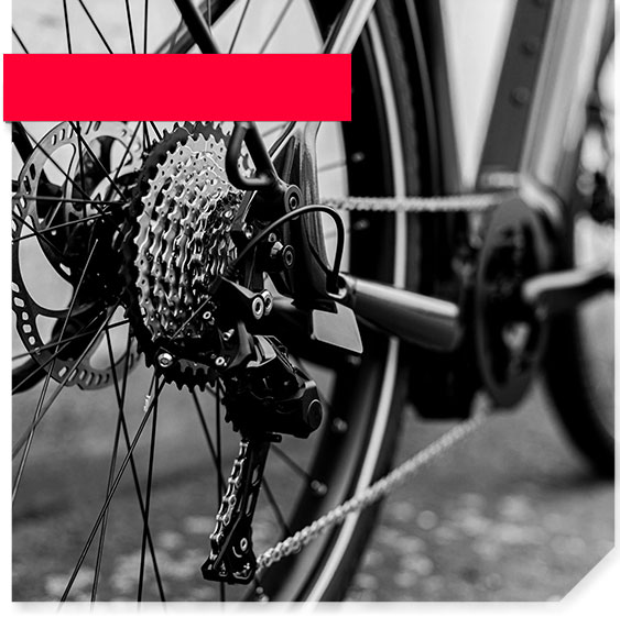 Calgary Cycle Canada's Premier Bike Shop