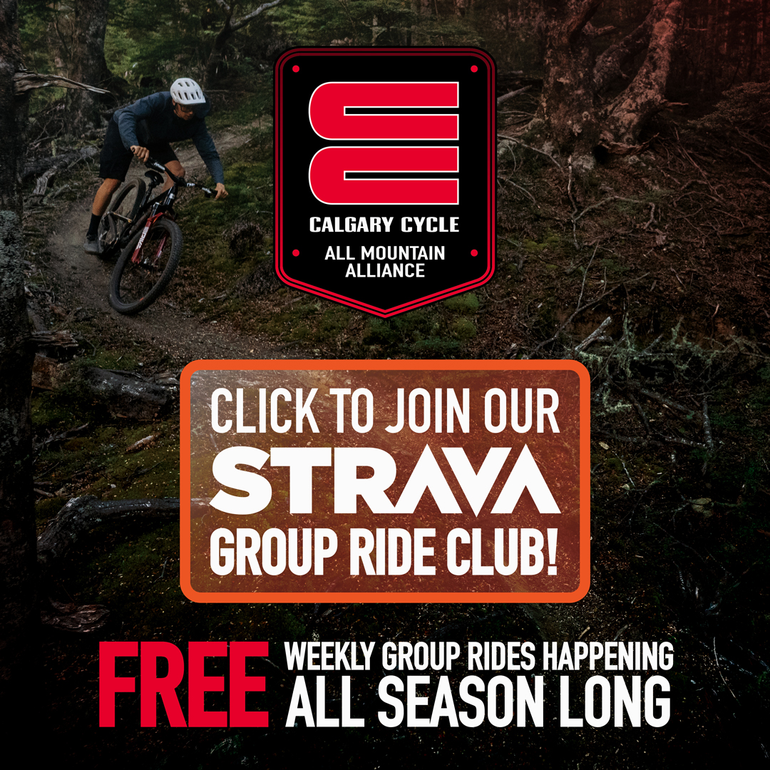 All Mountain Alliance